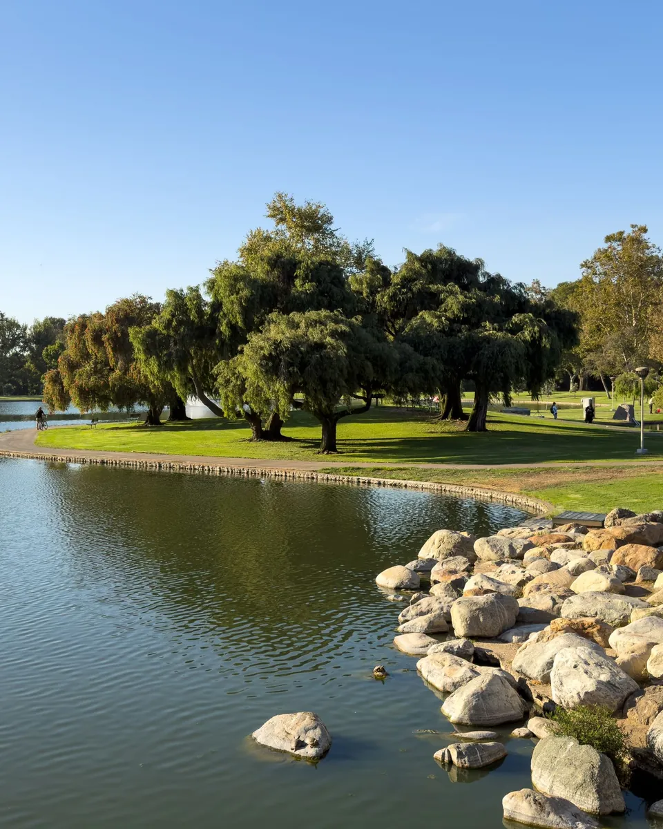 Lake and shade trees at Bill Barber Park in Irvine, CA