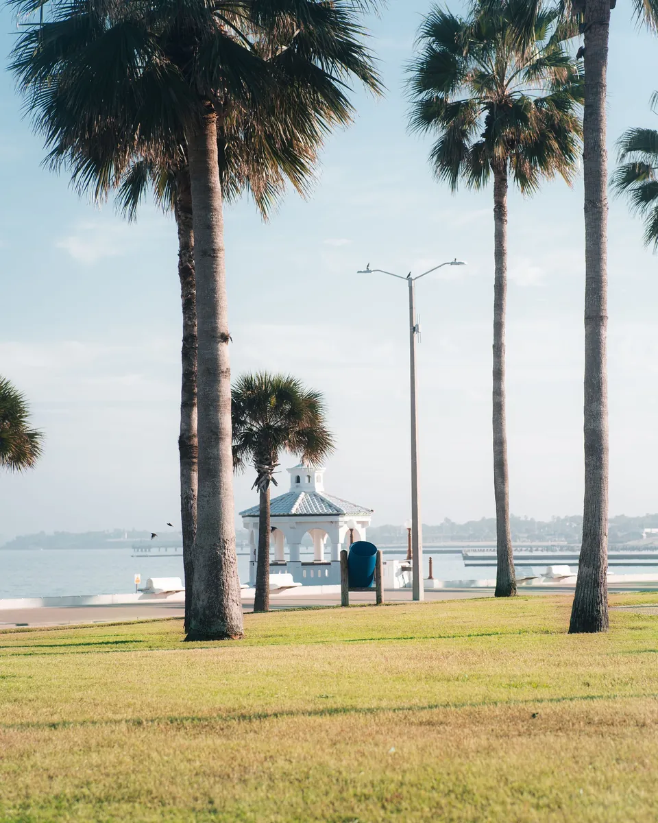 Palm trees and a seawall pavilion along the bayfront in Corpus Christi, TX